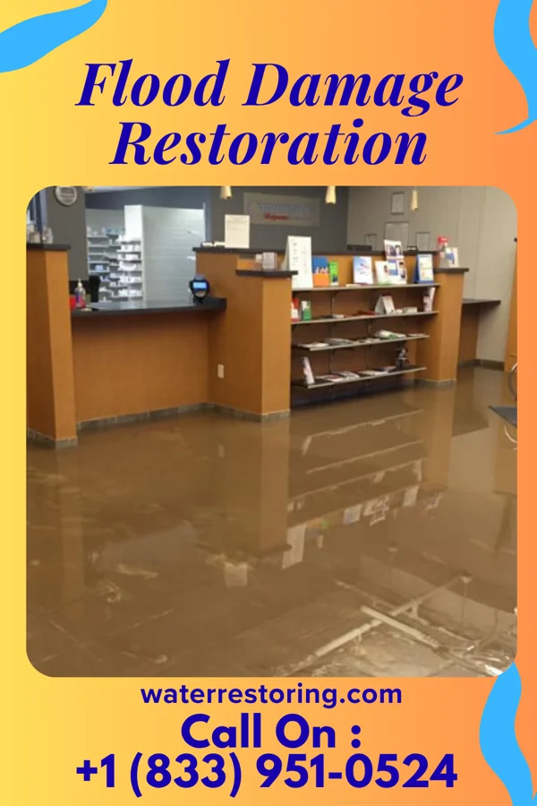 Flood Damage Restoration in Pendergrass, GA